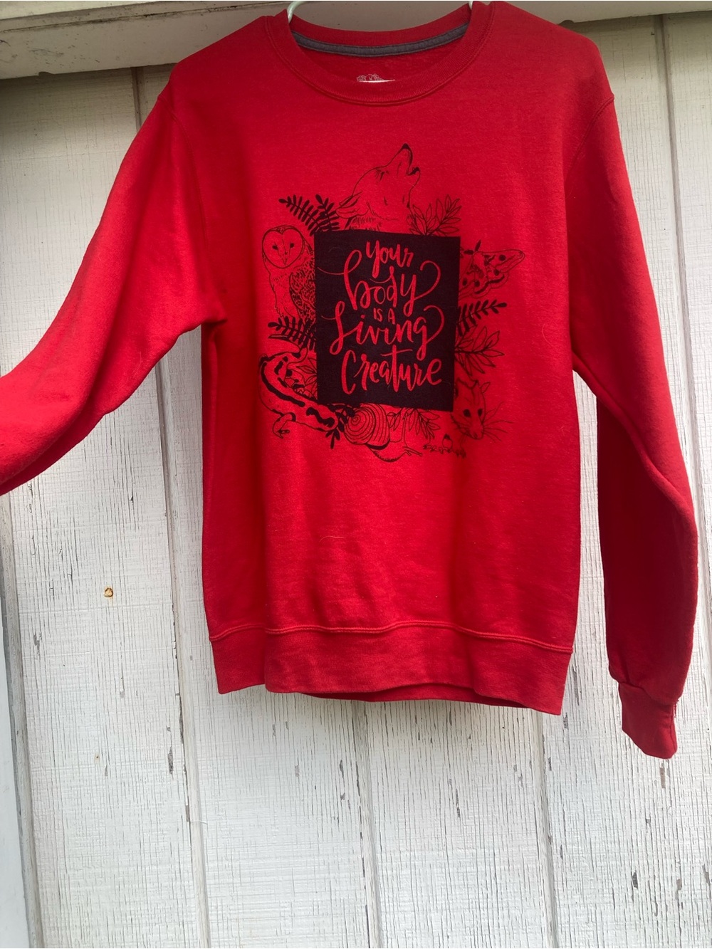 Red Graphic Crewneck Sweatshirt - Your Body Is A Living Creature - Picture 5 of 5